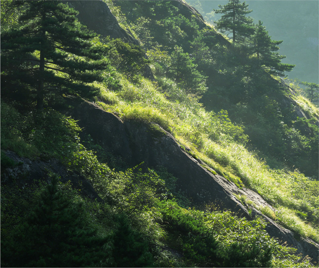 Pendii naturali e versanti